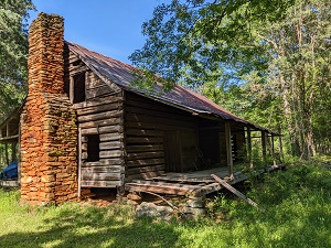Saunders-Archer Log Dogtrot