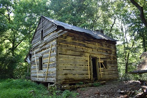 Saunders-Archer Log Dogtrot