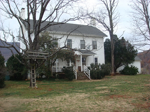 Mount Fair